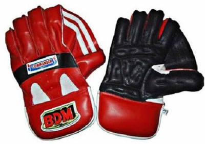 

BDM Commander Wicket Keeping Gloves (Men, Multicolor)