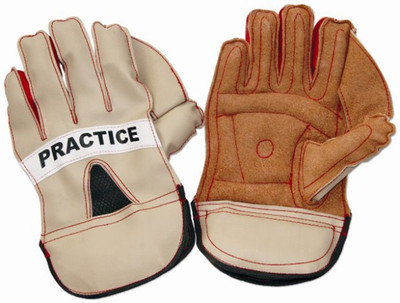 

Vinex Practice Wicket Keeping Gloves (Multicolor)