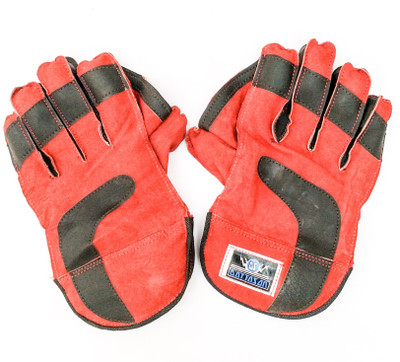 

RED-X DATTASON Wicket Keeping Gloves (, Multicolor