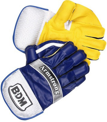 

BDM Armstrong Wicket Keeping Gloves (Men, Multicolor)