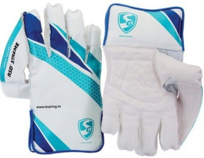 

SG RSD EXTREME Wicket Keeping Gloves (Small Boys, Multicolor), Assorted