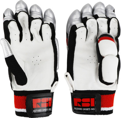 

Richard Century Batting Gloves (Men, Multicolor)