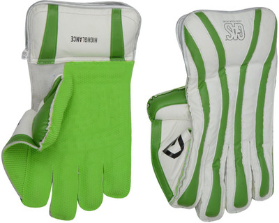 

GAS HIGHGLANCE Wicket Keeping Gloves (Youth, Multicolor)