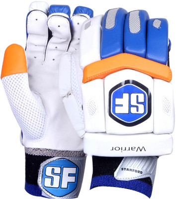 

Stanford Warrior Batting Gloves (Men, Multicolor)
