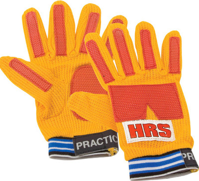 

HRS Practice Goalkeeping Gloves (Youth, Multicolor)