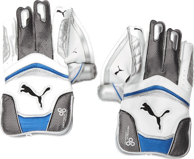 

Puma Kinetic 4700 Wicket Keeping Gloves (Multicolor), Black;blue;grey;white