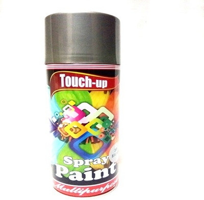 

Touch-up Silver Spray Paint 400 ml(Pack of 1)