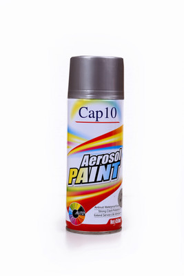 

F1 PREMIUM Silver Spray Paint 450 ml(Pack of 1)