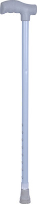 

Zeal Pharma Simple Walking Stick