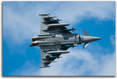 

Artifa  Vinyl Decal Sticker(Pack of 1, Multicolor