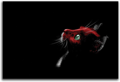

Artifa  Vinyl Decal Sticker(Pack of 1, Multicolor