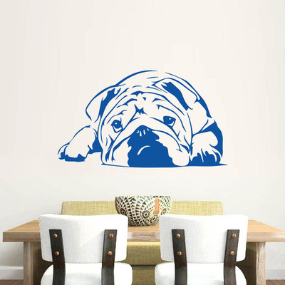 

Pickypomp  Adhesive type Sticker(Pack of 1, Blue