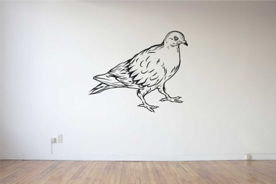 

Rawpockets  Vinyl Sticker(Pack of 1, Black