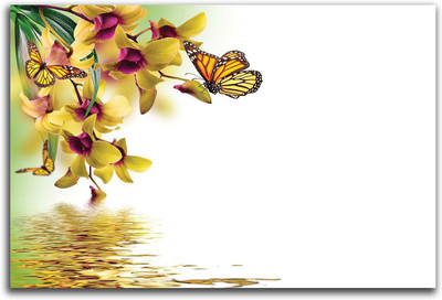 

Artifa  Vinyl Decal Sticker(Pack of 1, Multicolor
