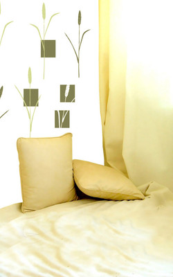 40% OFF on Home Decor Line Large Wall(Pack of 1) 40% OFF on Home Decor Line Large Wall(Pack of 1)