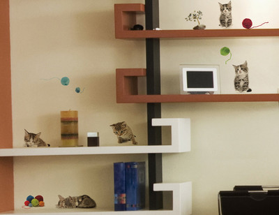 40% OFF on Home Decor Line Small Wall(Pack of 5) 40% OFF on Home Decor Line Small Wall(Pack of 5)