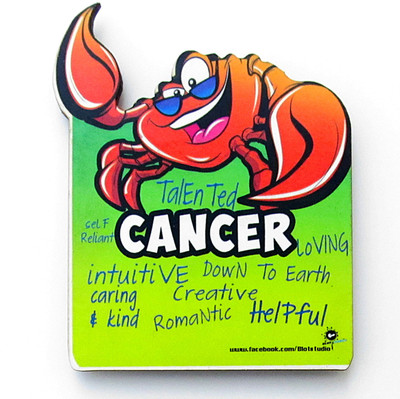 

Homeblendz Fridge Magnet Sticker(Pack of 1), Multicolour
