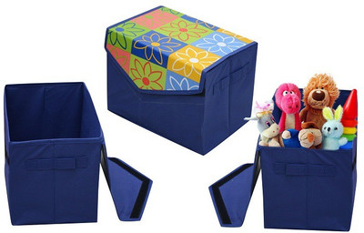

The Intellect Bazaar G Storage Box(Blue)