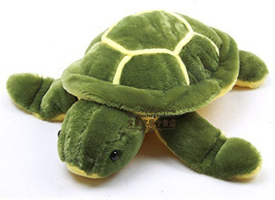 

Toyland Turtle - 11 cm(Green)