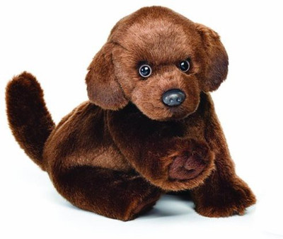 

Nat and Jules Plush Chocolate Labradorsmall - 9 inch(Brown)