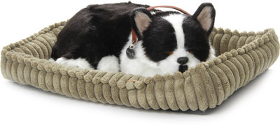 

Perfect Petzzz Boston Terrier - 3.4 inch(Multicolor)