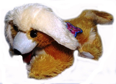 

Evergreen Cute Brown Dog Puppy - 30 cm - 30 cm(Brown, Cream)