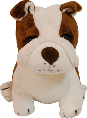 

Surbhi Bull Dog Soft Toy - 26 cm(White, Brown), Brown;white