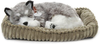 

Perfect Petzzz Alaskan Husky - 4.4 inch(Multicolor)
