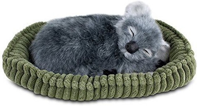 

Perfect Petzzz Koala Soft(Green)