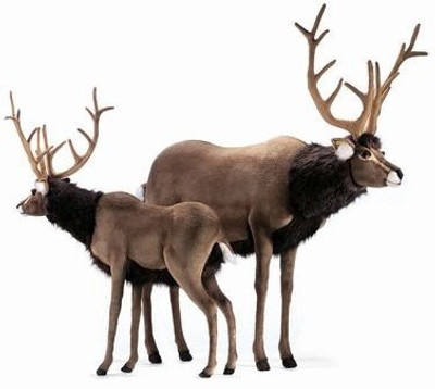 

Hansa Plush 60" Extra Large Reindeer(Brown)