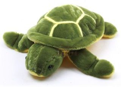 

Meghanshi Soft Turtle toy 30cm - 30 cm(Green yellow)