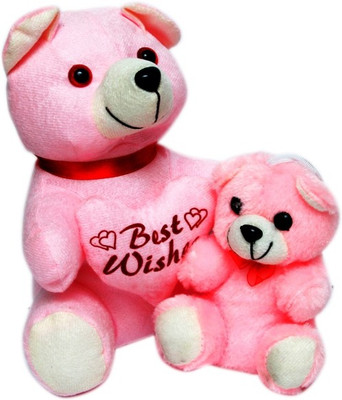 

Global Gifts Pink Pair Of Teddy - 12 inch(Pink, White)