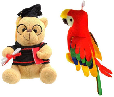 parrot teddy