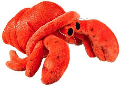 

Wildlife Artists Hermit Crab 6" Wild Life Artist - 9.84 inch(Red)