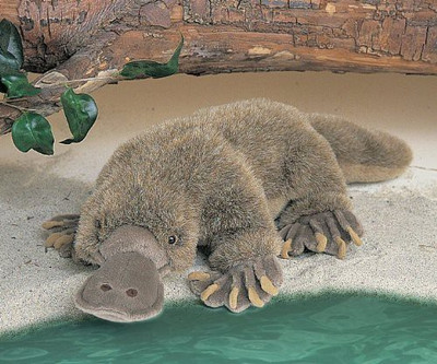 

Fiesta Toys Fiesta Sea And Shore Series 18'' Platypus(Grey)