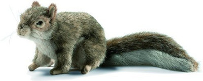 

Hansa Sitting Gray Squirrel 9"(Grey)