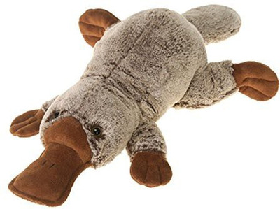 

Fiesta Toys Marshmallow Platypus Plush Toy, 21" - 25 inch(Multicolor)