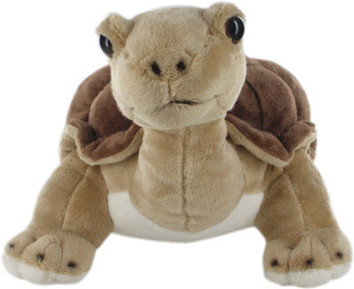 

Hamleys Land Turtle Soft Toy - 9.8 inch(Multicolor)