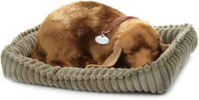 

Perfect Petzzz Mutt - 4 inch(Multicolor)