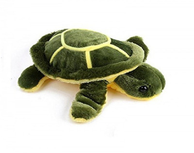

BG BG9ST0003 - 30 cm(green, yellow)