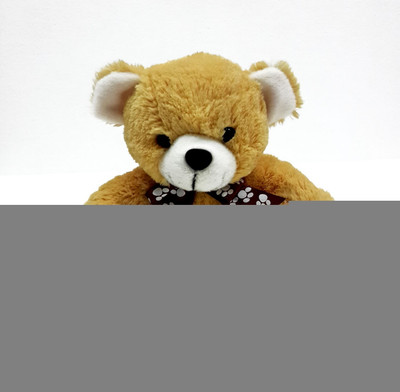 

Soft Buddies Z Bear Large - Brown - 22 inch(Beige)