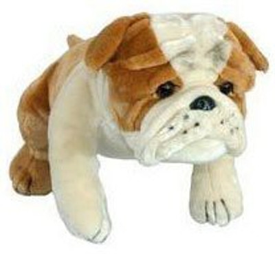 

Unipak Bumb Bulldog Large 18 inches by Unipak - 20 inch(Multicolor)