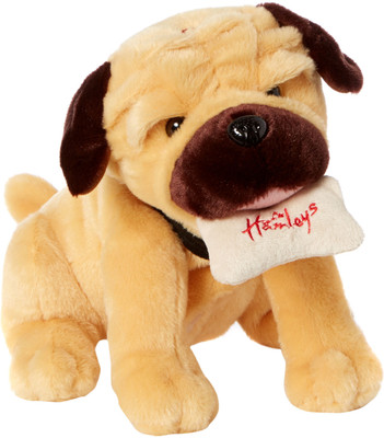 

Hamleys Musical Soft Toy - Dog - 8 inch(Beige, Brown)