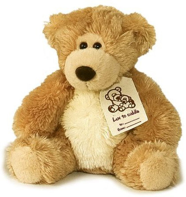 

Aurora Plush 20" Luv To Cuddle Bear(Brown)
