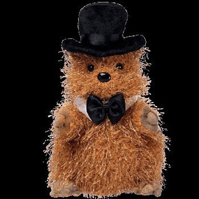 

TY Beanie Babies Punxsutawney Phil 2005 The Groundhog(Brown)