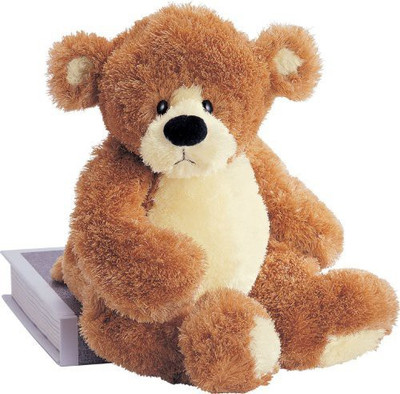 

Gund Bear "Fleming"(Brown)