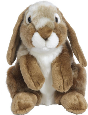 

Hamleys Rabbit Soft Toy - 9.1 inch(Multicolor)