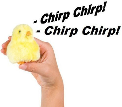 

Toysmith Chirpin' Chick Novelty - 18 inch(Yellow)
