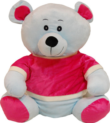 

Surbhi Teddy Bear - 50 cm(Blue, Pink)