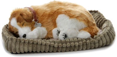 

Perfect Petzzz Collie - 5.1 inch(Multicolor)